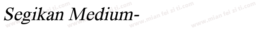 Segikan Medium字体转换